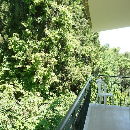 Karina Hotel Benitses  Exterior photo